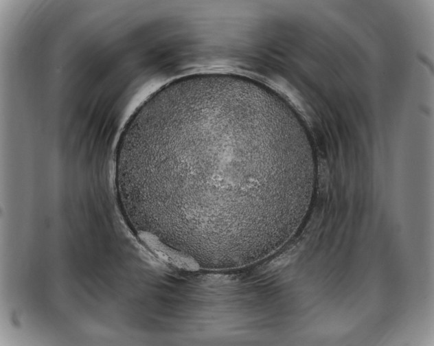 X0000097491424200802291421