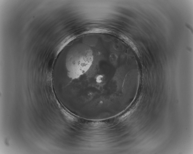 X0000097491425200802291421