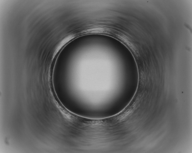 X0000097491426200802291421