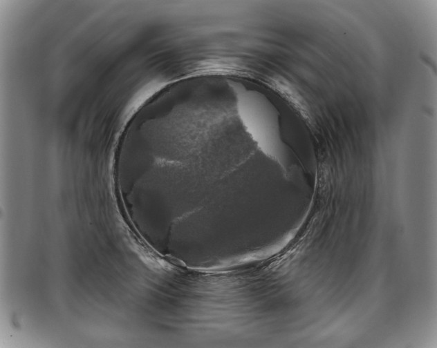 X0000097491427200802291421