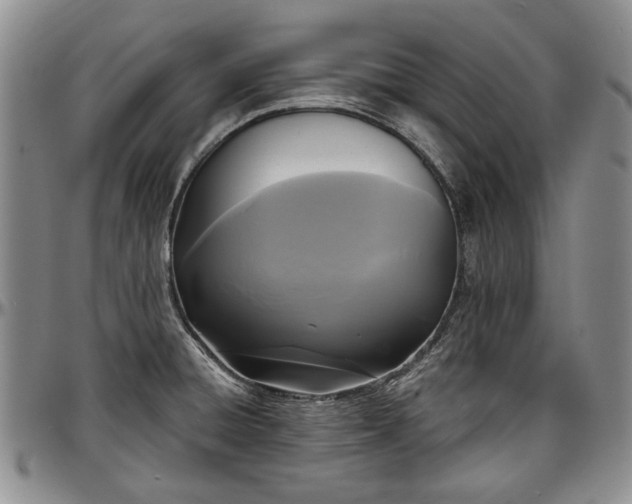 X0000097491428200802291421