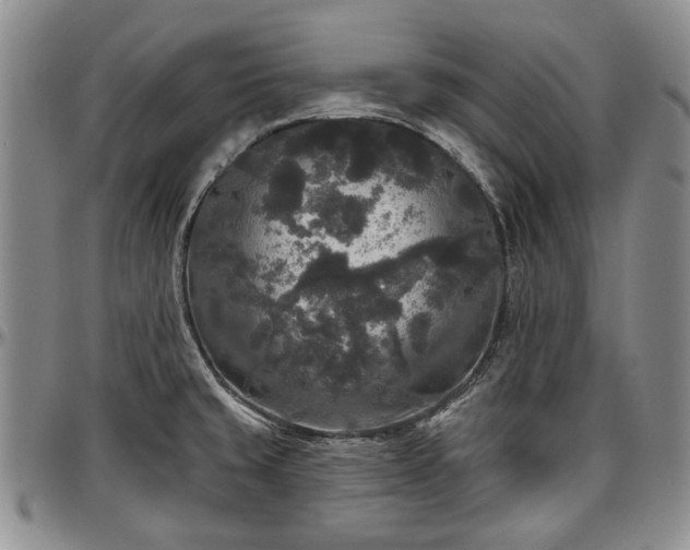 X0000097491429200802291421