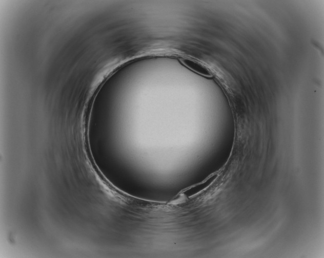 X0000097491430200802291421