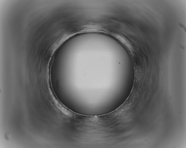 X0000097491431200802291421