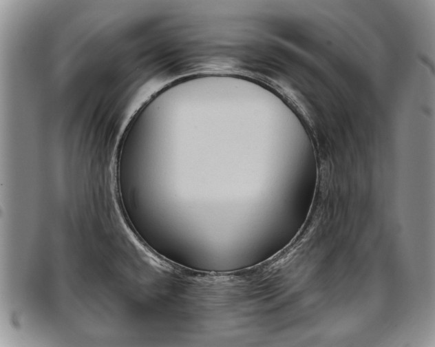 X0000097491432200802291421