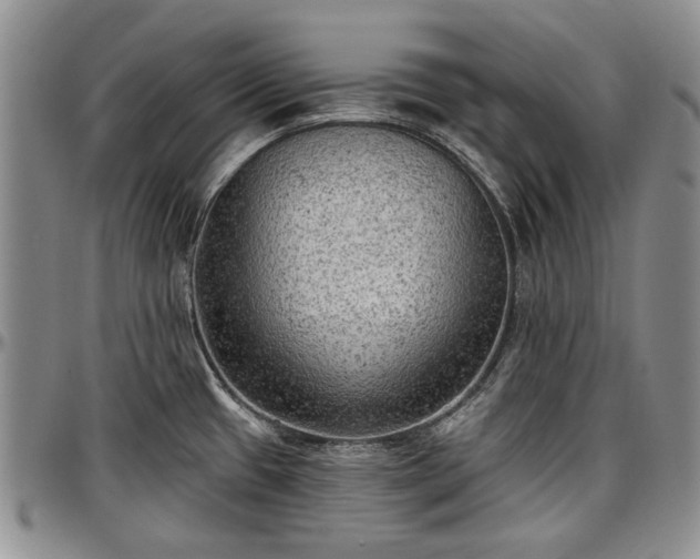 X0000097491433200802291421