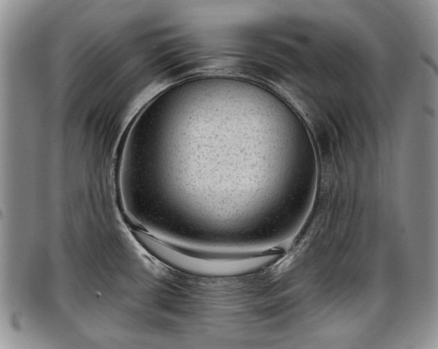 X0000097491434200802291421