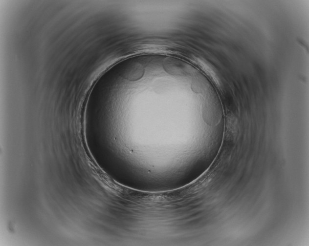 X0000097491435200802291421