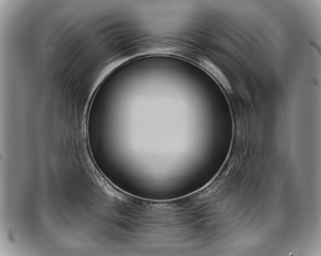 X0000097491436200802291421