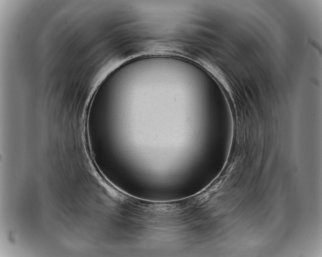 X0000097491437200802291421