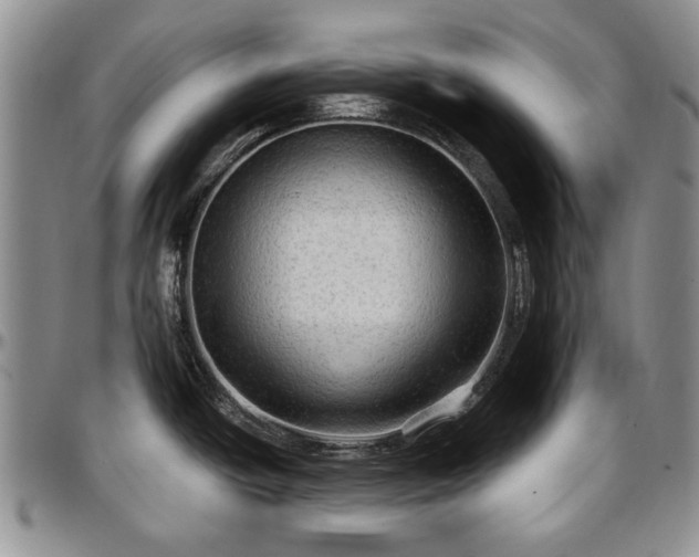 X0000097491438200802291421