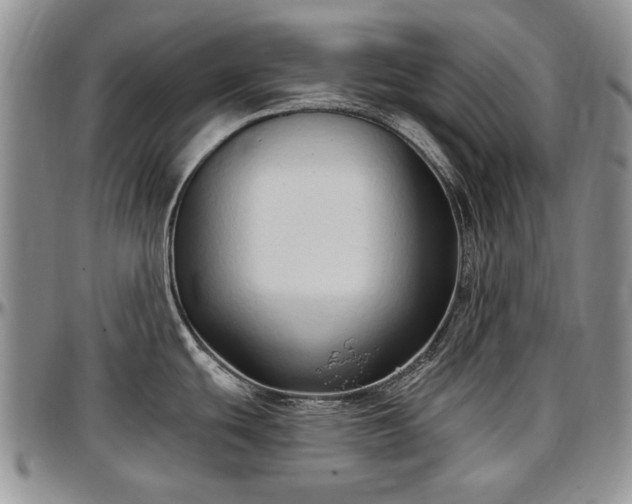 X0000097491439200802291421