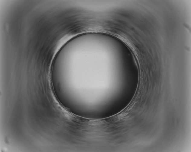 X0000097491440200802291421