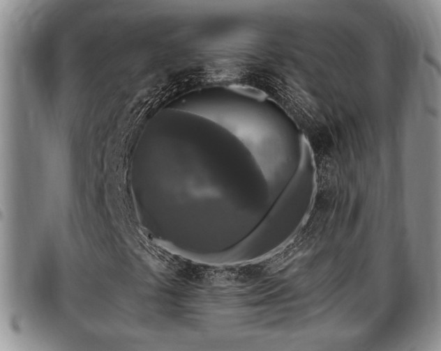 X0000097491441200802291420