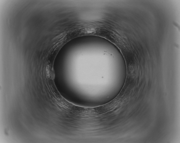 X0000097491442200802291420