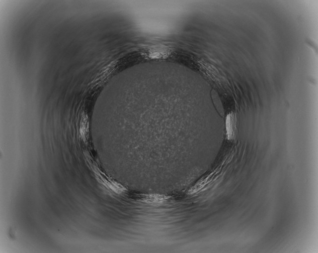 X0000097491443200802291420