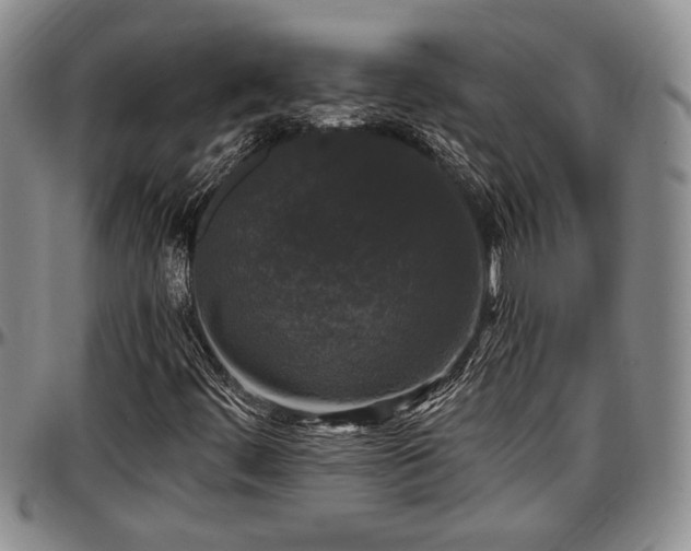 X0000097491444200802291420