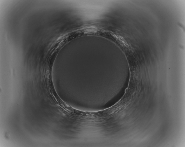 X0000097491445200802291420