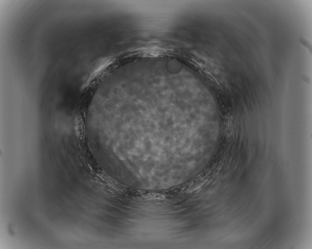 X0000097491446200802291420