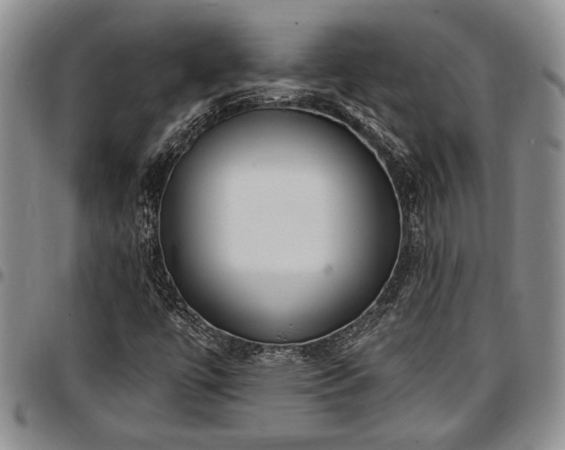 X0000097491447200802291420