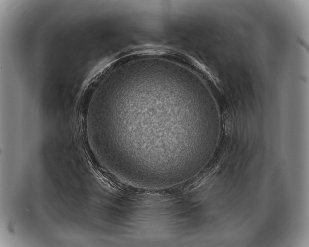 X0000097491448200802291420