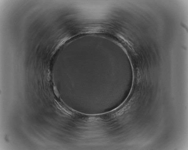 X0000097491449200802291420