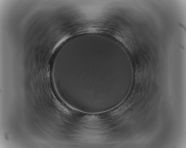 X0000097491450200802291420