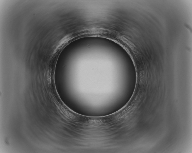 X0000097491451200802291420