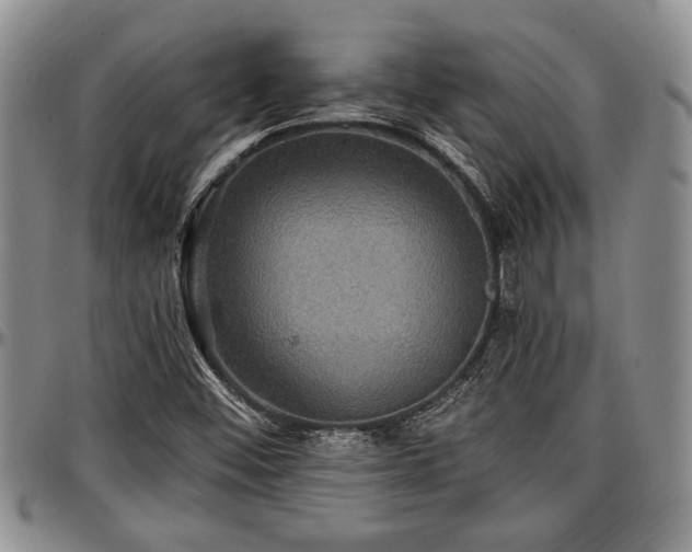 X0000097491452200802291420