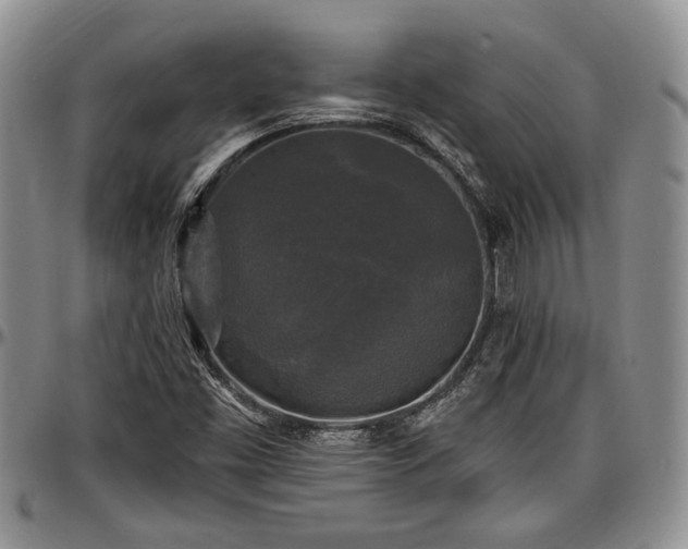 X0000097491453200802291420