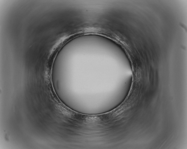 X0000097491454200802291420