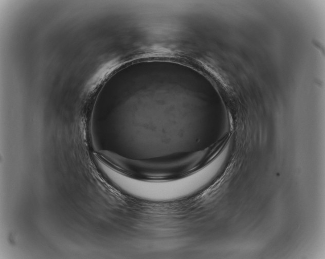 X0000097491455200802291420