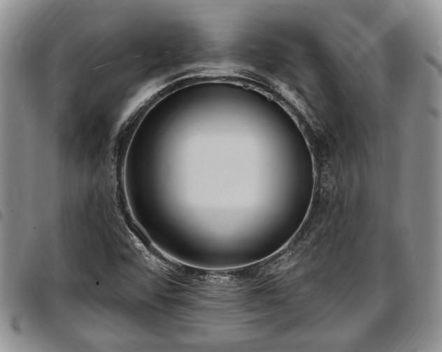 X0000097491456200802291420