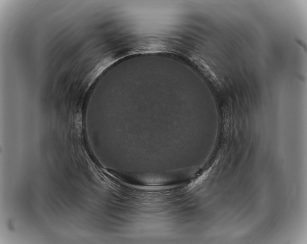 X0000097491457200802291420