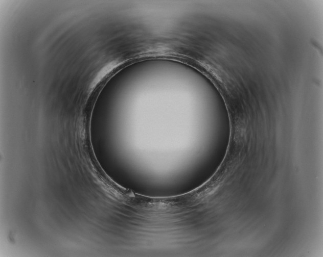 X0000097491458200802291420