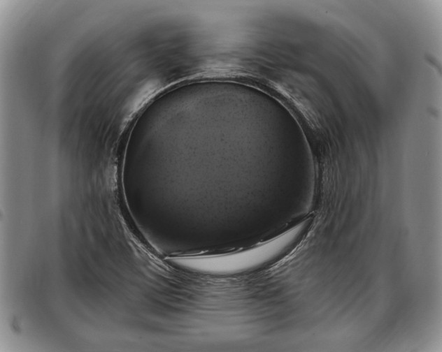 X0000097491459200802291420