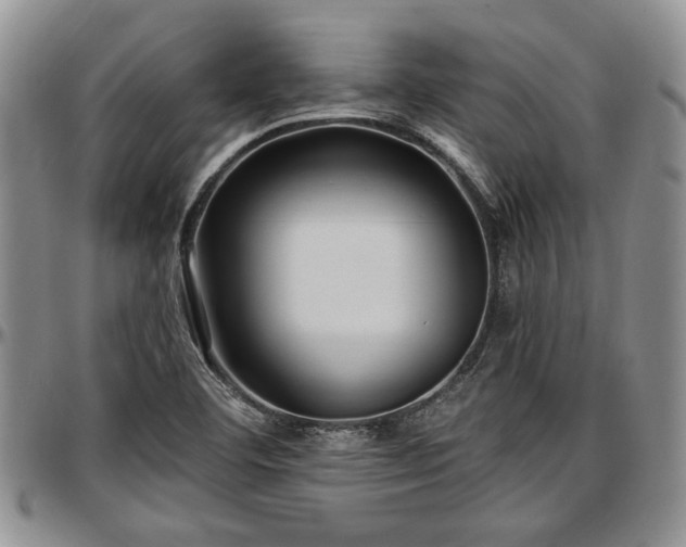 X0000097491460200802291420