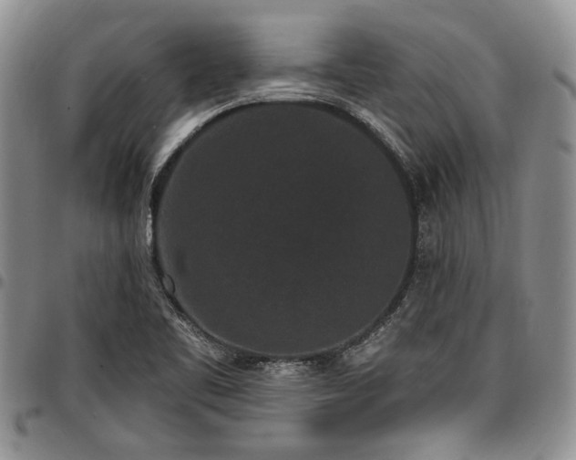 X0000097491461200802291420