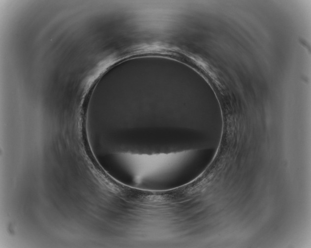 X0000097491463200802291420