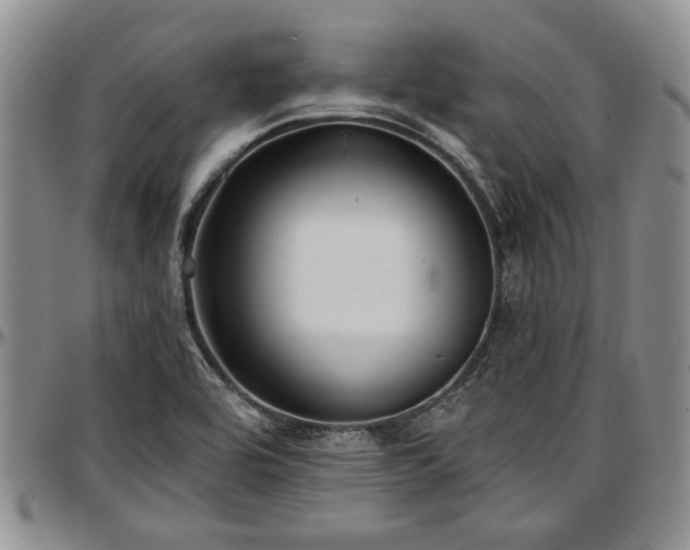 X0000097491464200802291420