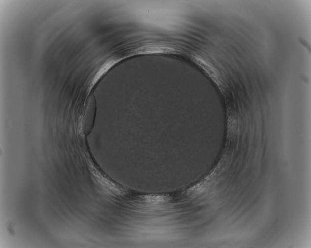 X0000097491465200802291420