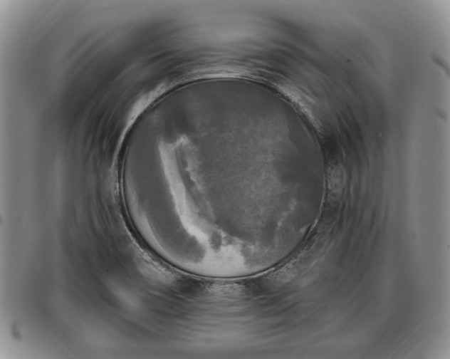 X0000097491466200802291420