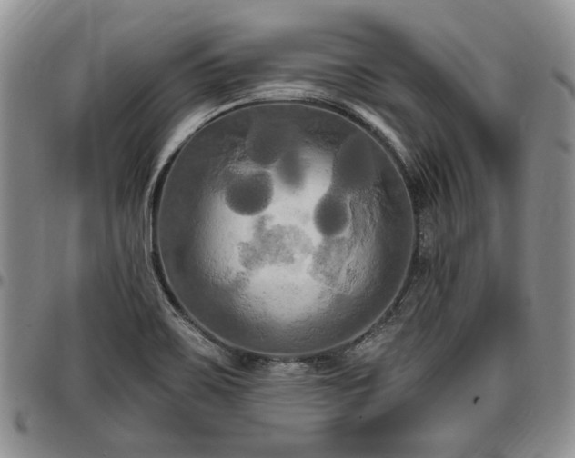 X0000097491467200802291420