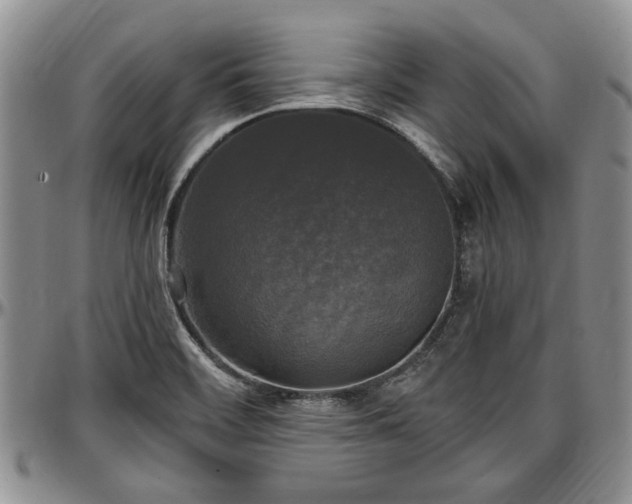 X0000097491468200802291420