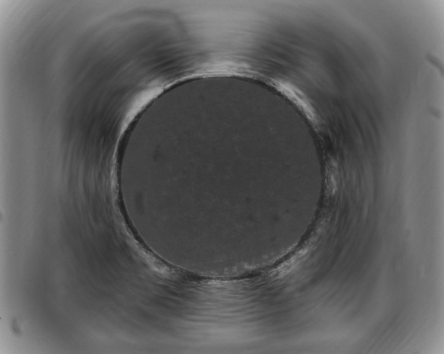 X0000097491469200802291420