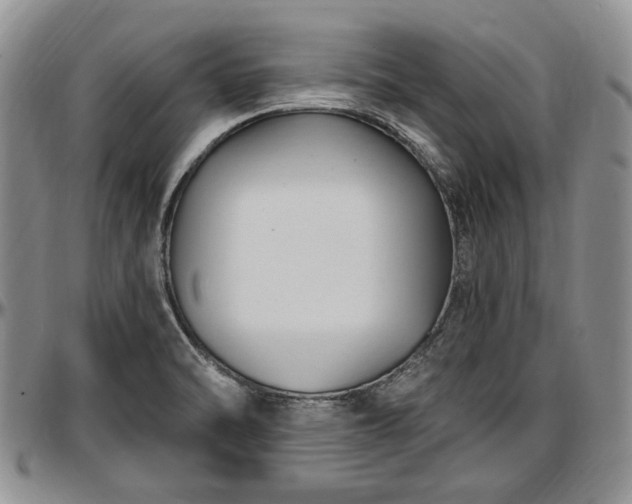 X0000097491470200802291420