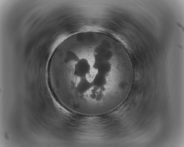 X0000097491471200802291420