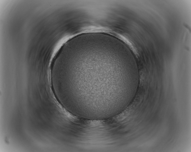 X0000097491472200802291420