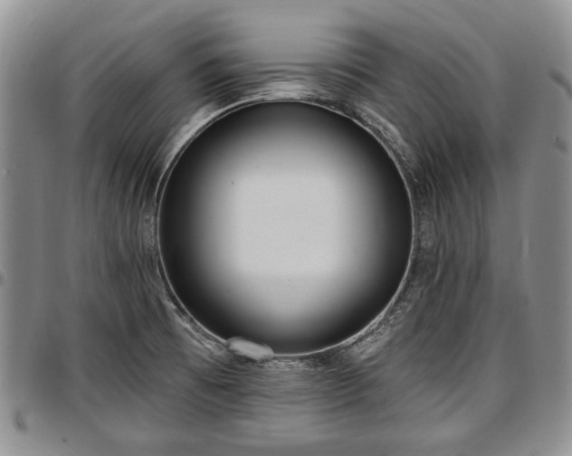 X0000097491473200802291420