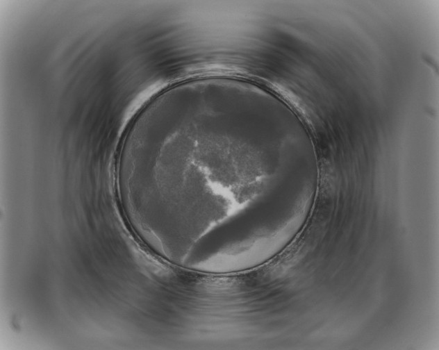 X0000097491474200802291420